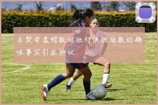 东契奇盖帽数超独行侠胜场数的趣味事实引发热议