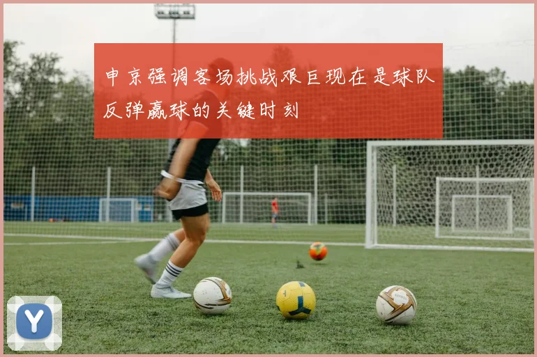 申京强调客场挑战艰巨现在是球队反弹赢球的关键时刻