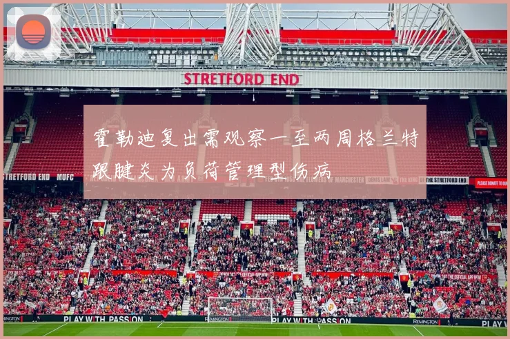 霍勒迪复出需观察一至两周格兰特跟腱炎为负荷管理型伤病