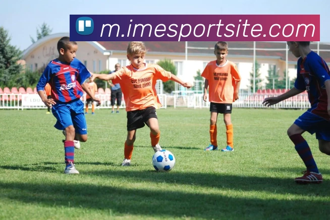 IM电竞服务体系