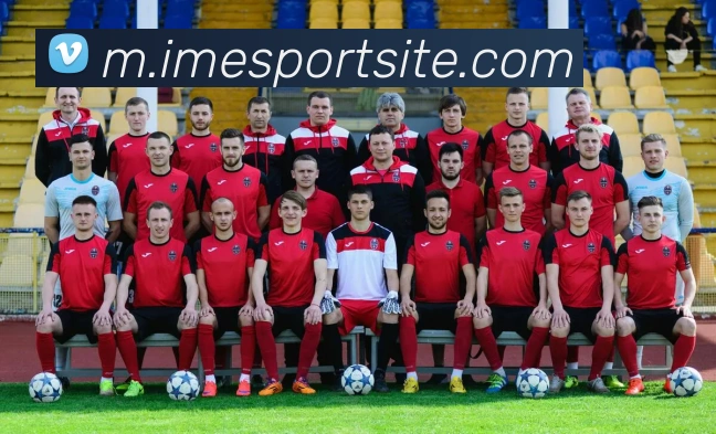 IM电竞APP 体育赛事宣传图