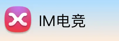 IM电竞 logo